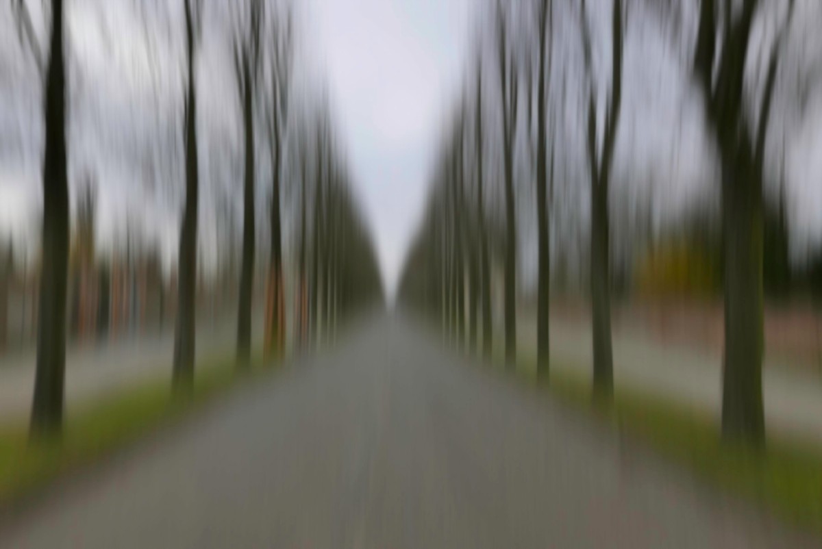 Postdamer Allee | 2022