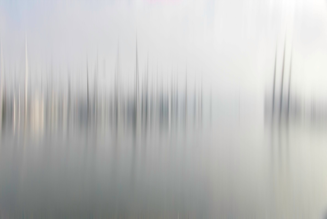Waterfront | 2022